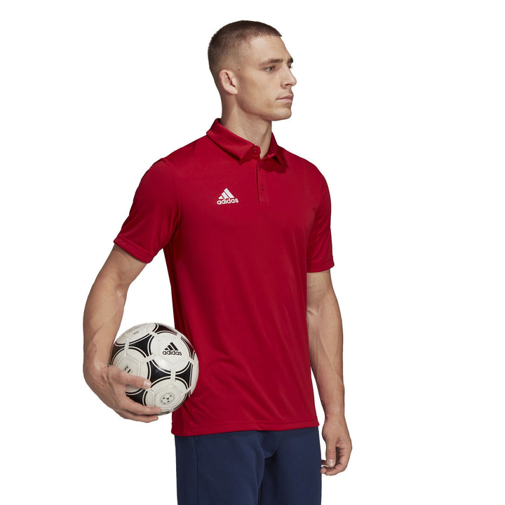adidas Herren Entrada 22 Poloshirt