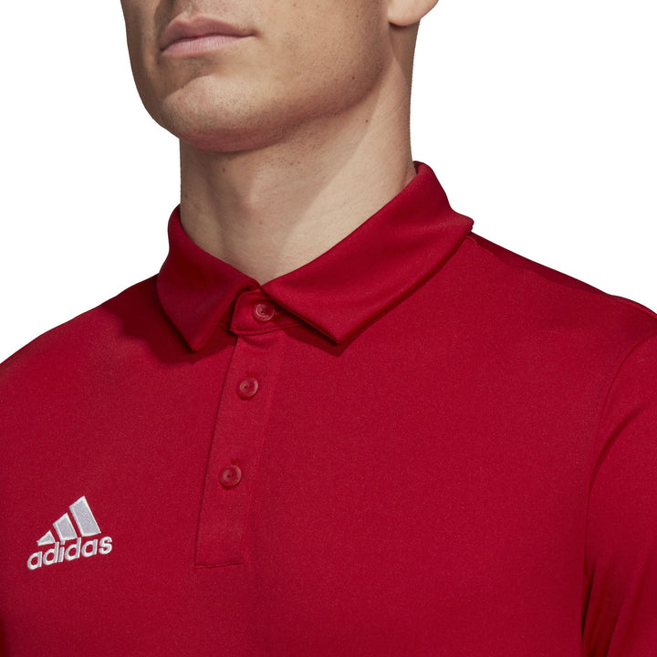adidas Herren Entrada 22 Poloshirt