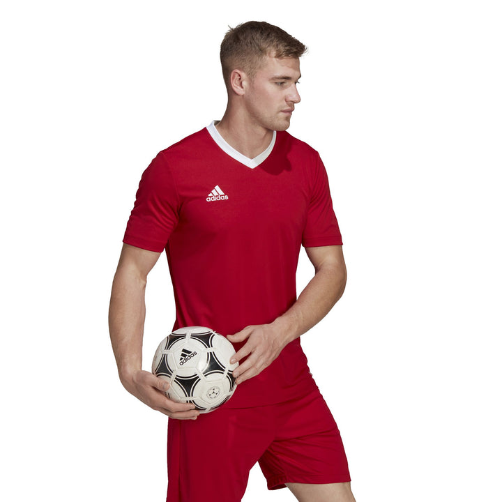 adidas Herren Entrada 22 Trikot