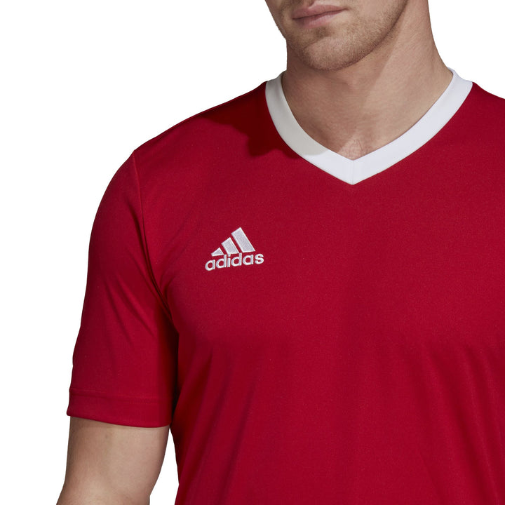 adidas Herren Entrada 22 Trikot