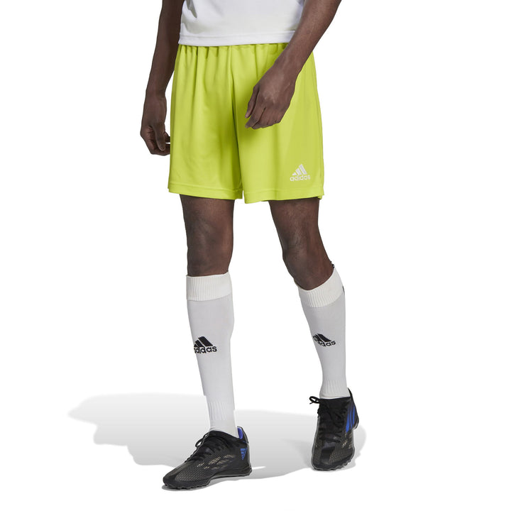 adidas Entrada 22 Shorts