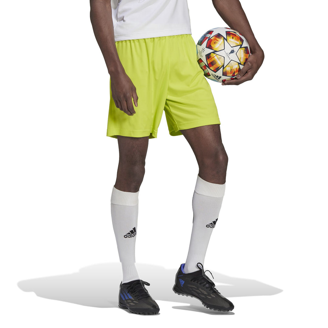 adidas Entrada 22 Shorts