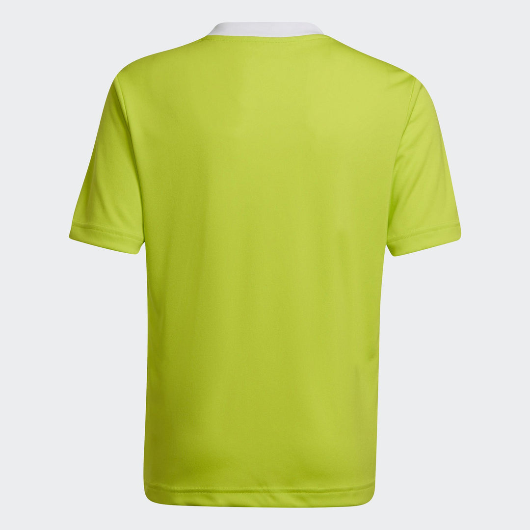 adidas Entrada 22 Trikot