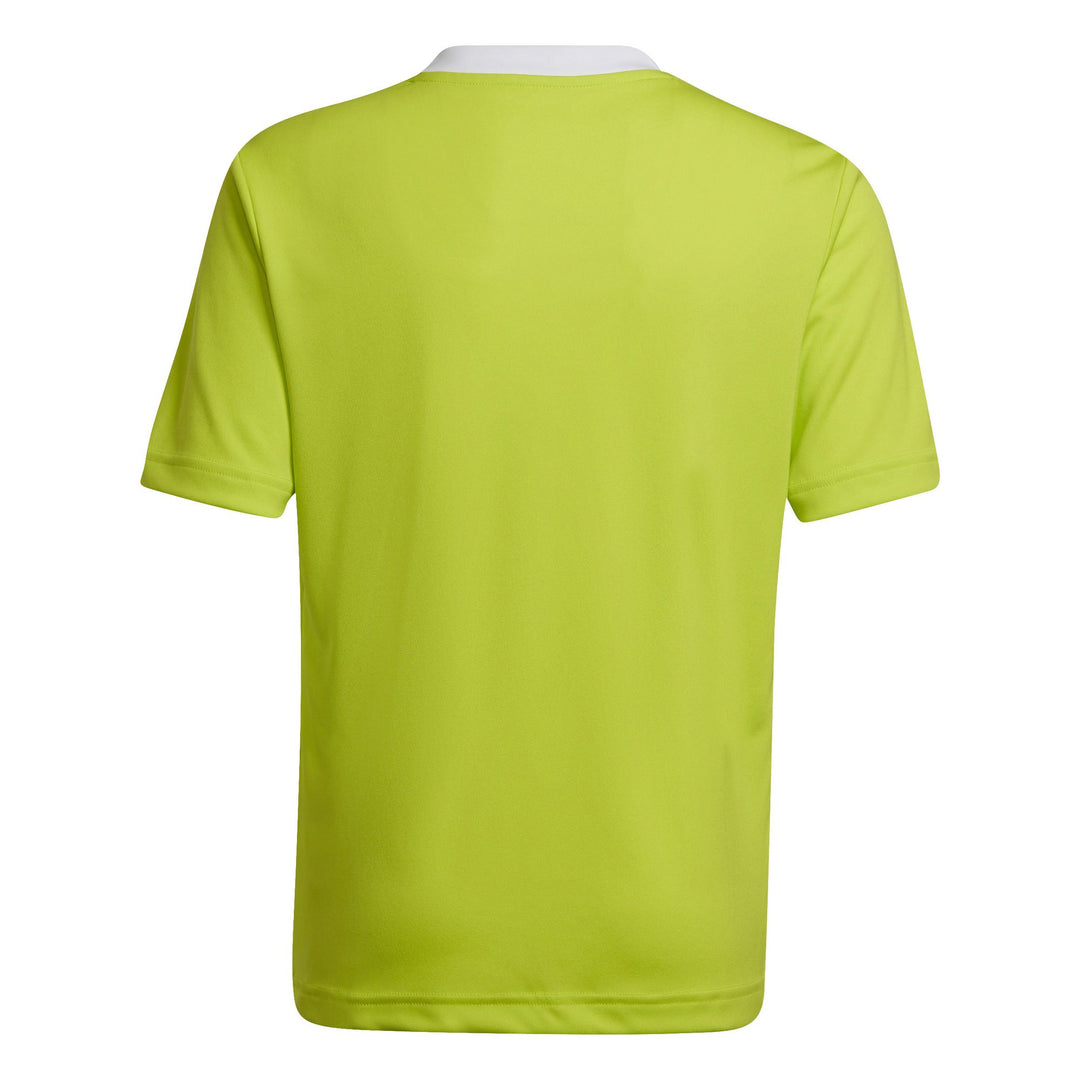 adidas Entrada 22 Trikot