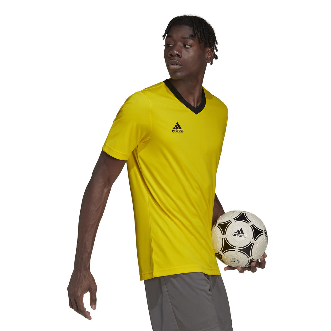 adidas Herren Entrada 22 Trikot