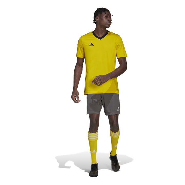 adidas Herren Entrada 22 Trikot