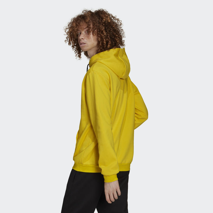 adidas Herren Entrada 22 Sweat Hoodie