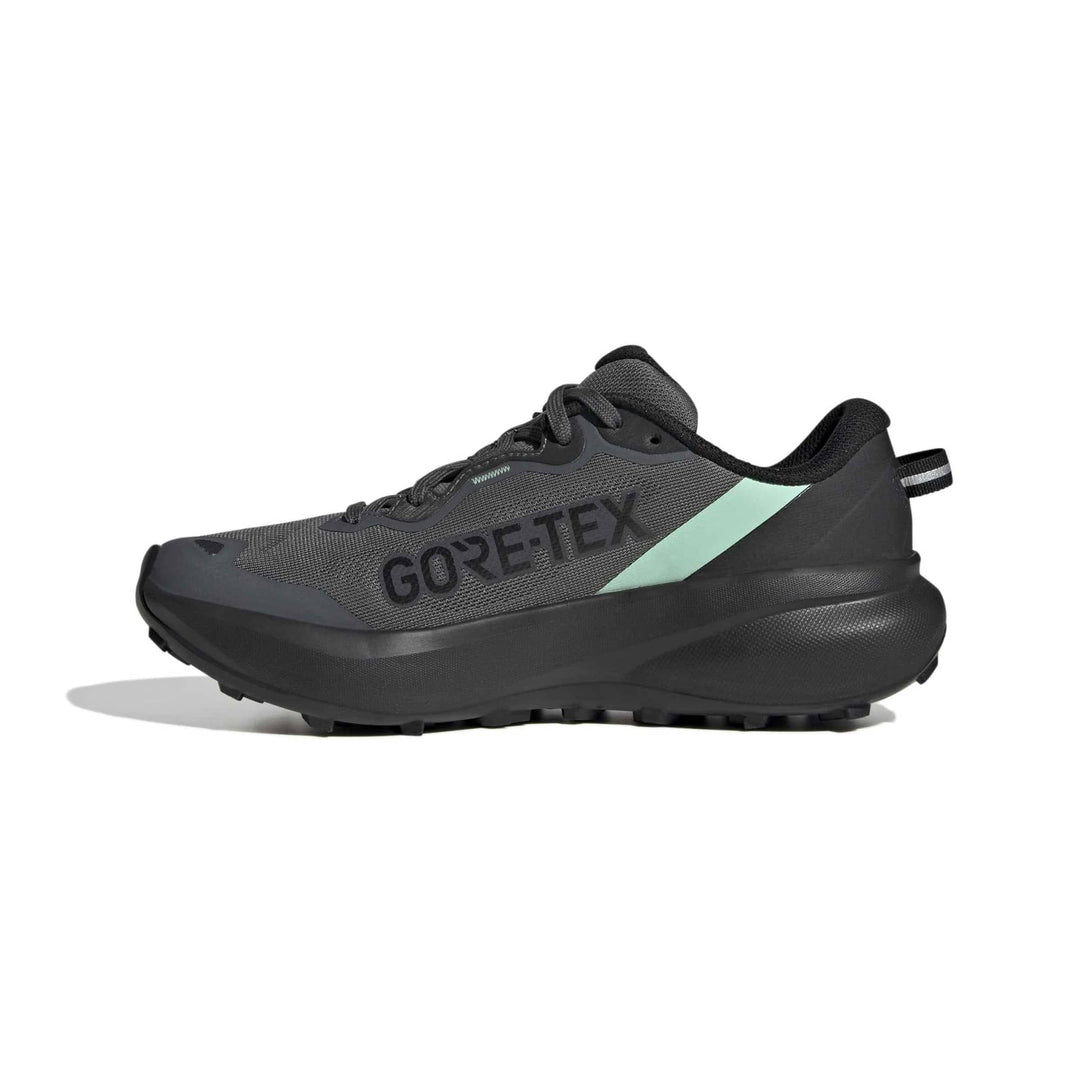 adidas Terrex Tracefinder Plus Gtx W - grefiv/cblack/carbon