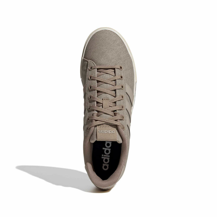 adidas Daily 4.0 - blacar/wonbei/owhite