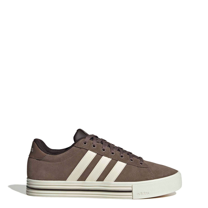 adidas Daily 4.0 - earstr/owhite/auco