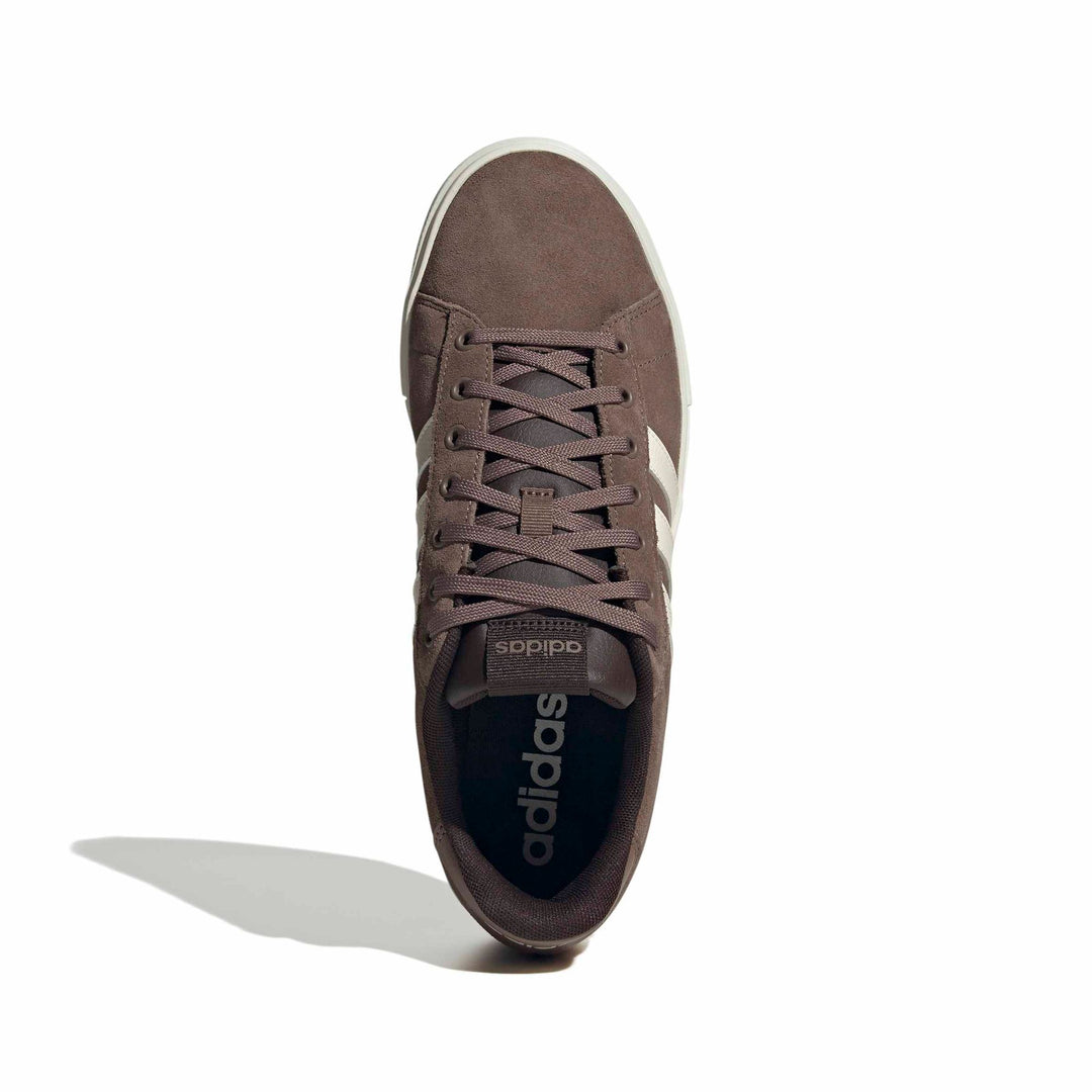 adidas Daily 4.0 - earstr/owhite/auco