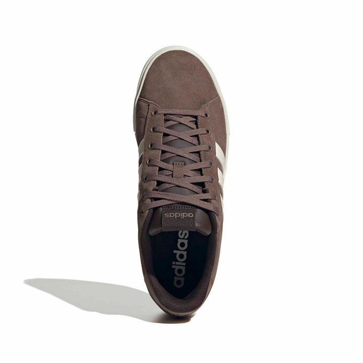 adidas Daily 4.0 - earstr/owhite/auco