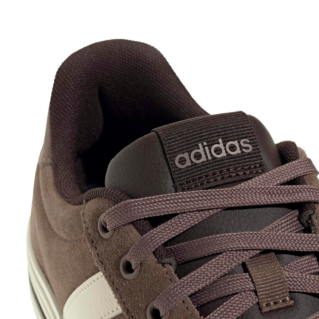 adidas Daily 4.0 - earstr/owhite/auco