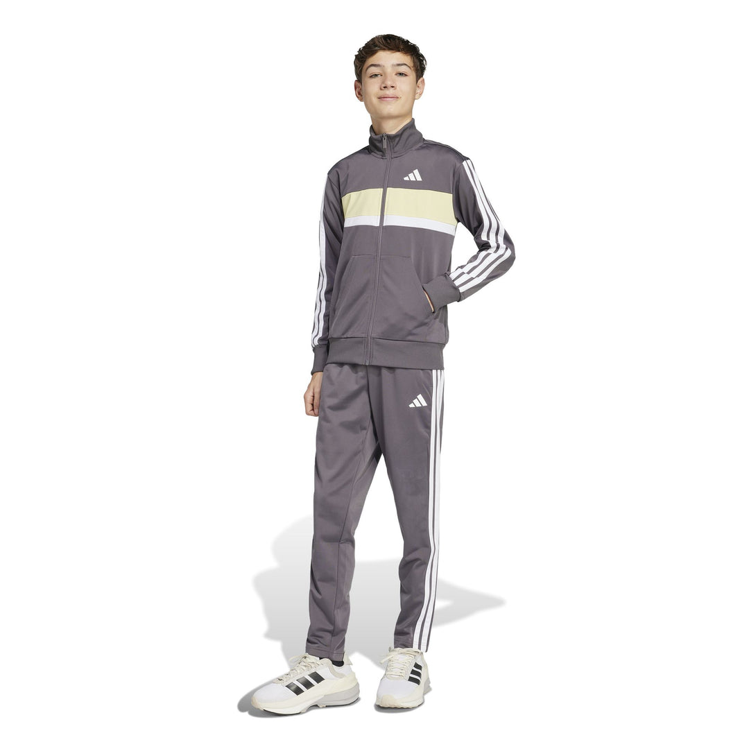 adidas J 3S Tiberio Ts - grestr/white/powyel