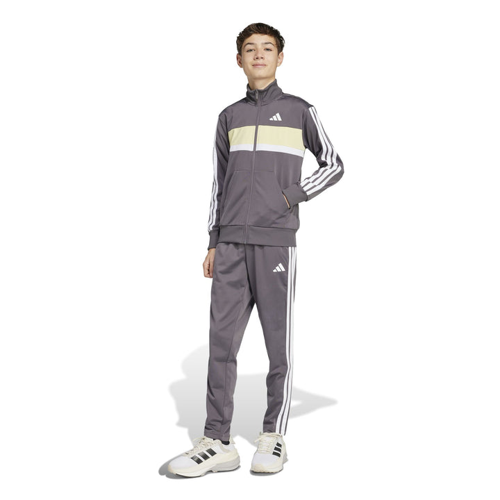 adidas J 3S Tiberio Ts - grestr/white/powyel