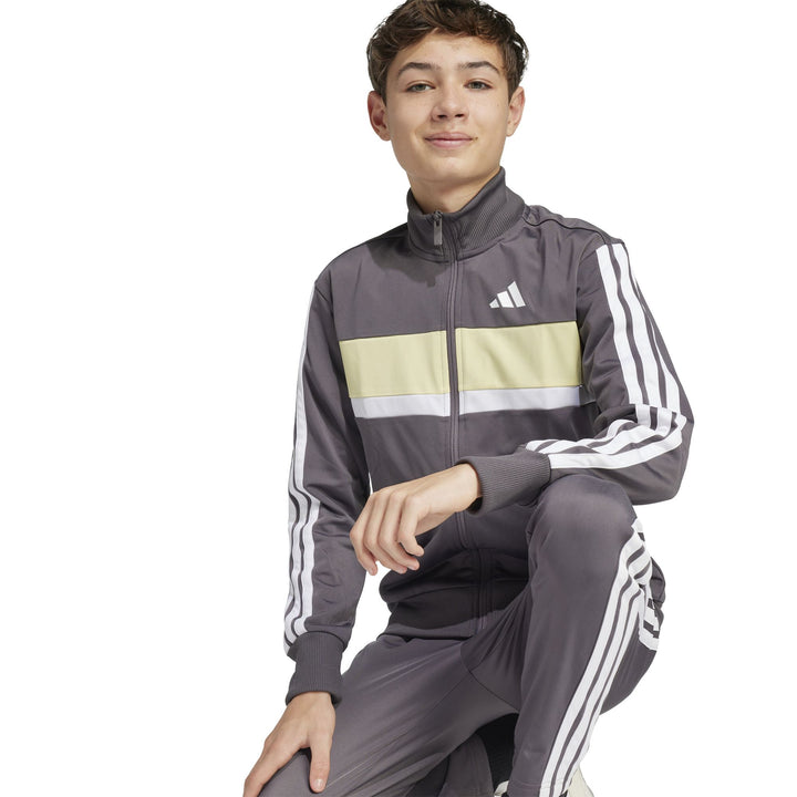 adidas J 3S Tiberio Ts - grestr/white/powyel