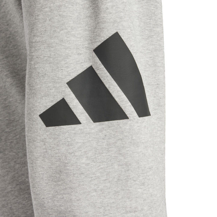 adidas M Bl Ft Pt Jogginghose