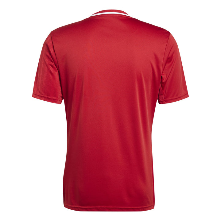 adidas Campeon25 Jsy M Fußballtrikot