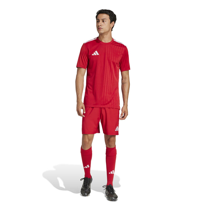 adidas Campeon25 Jsy M Fußballtrikot