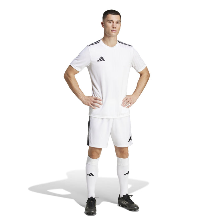 adidas Campeon25 Jsy M - white/black