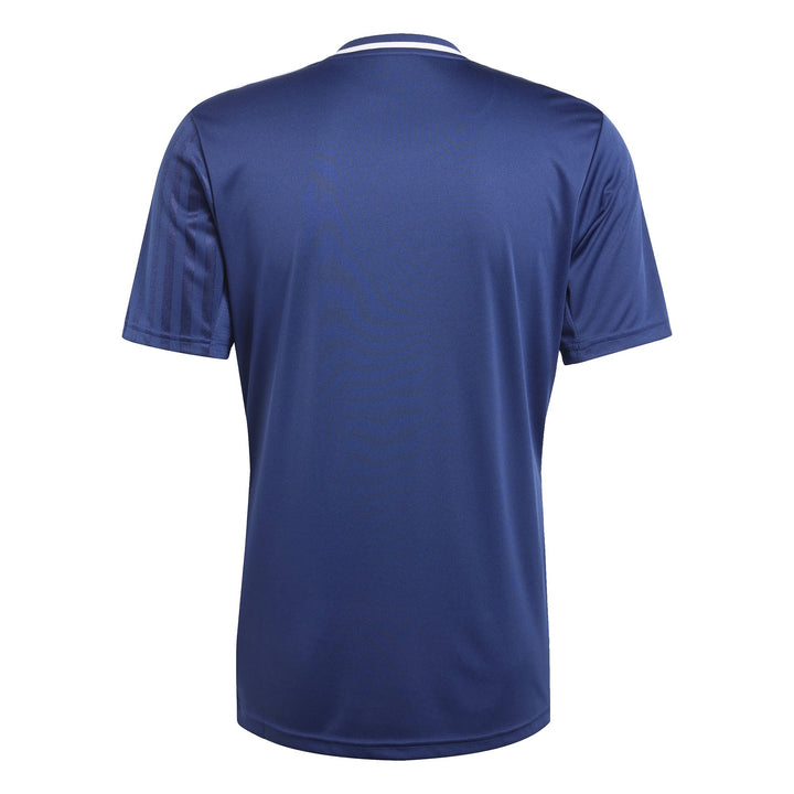 adidas Campeon25 Jsy M - tenabl/white