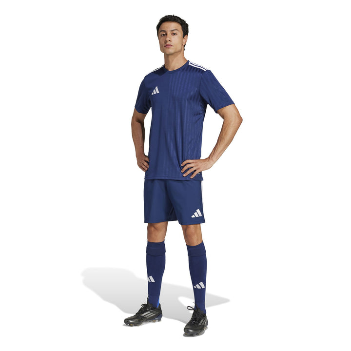 adidas Campeon25 Jsy M - tenabl/white