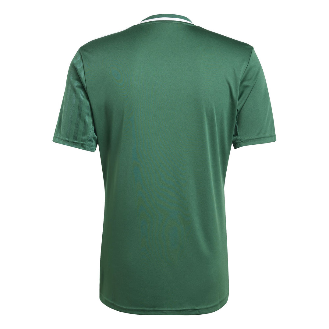 adidas Campeon25 Jsy M - drkgrn/white
