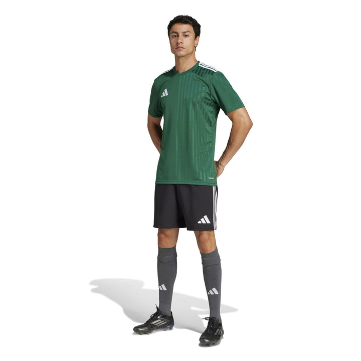 adidas Campeon25 Jsy M - drkgrn/white
