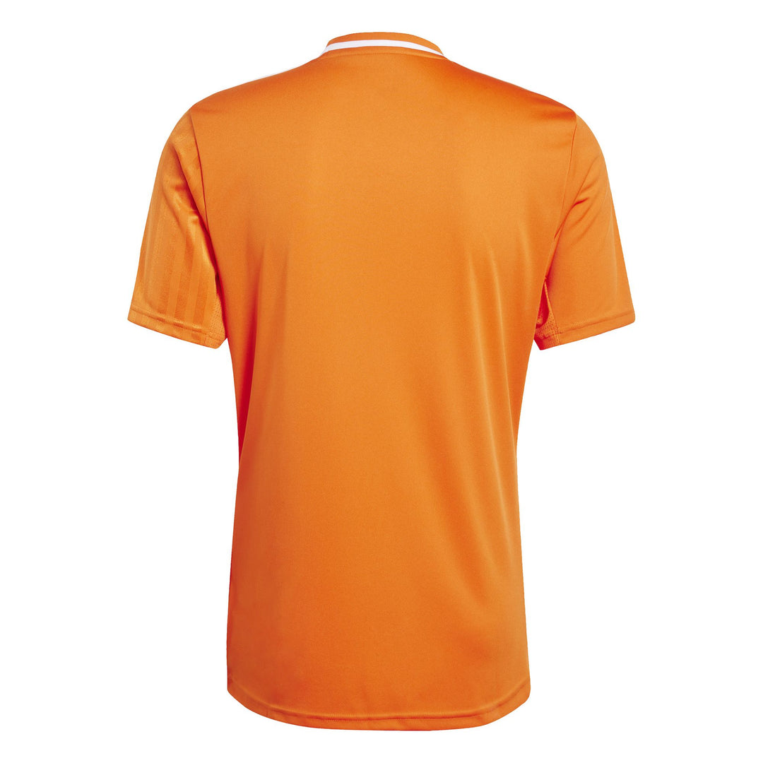 adidas Campeon25 Jsy M Fußballtrikot