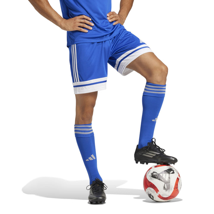 adidas Squadra 25 Sho M - royblu/white