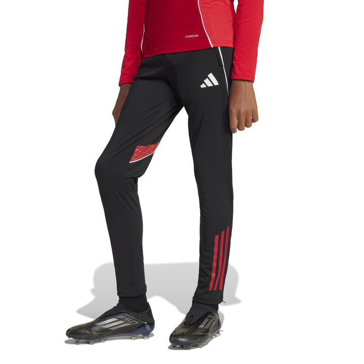 adidas Tiro25C Tr Pnty - black/tepore