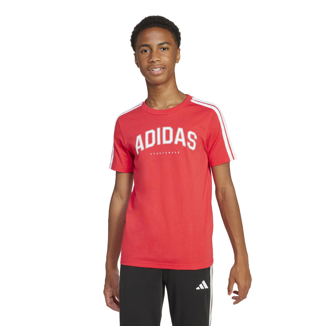 adidas J C Colleg Tee - purrub