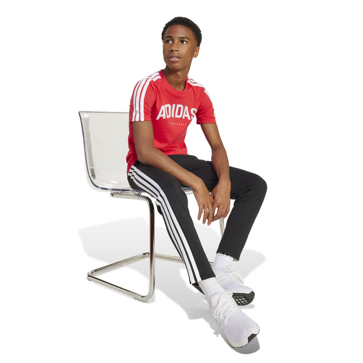 adidas J C Colleg Tee - purrub