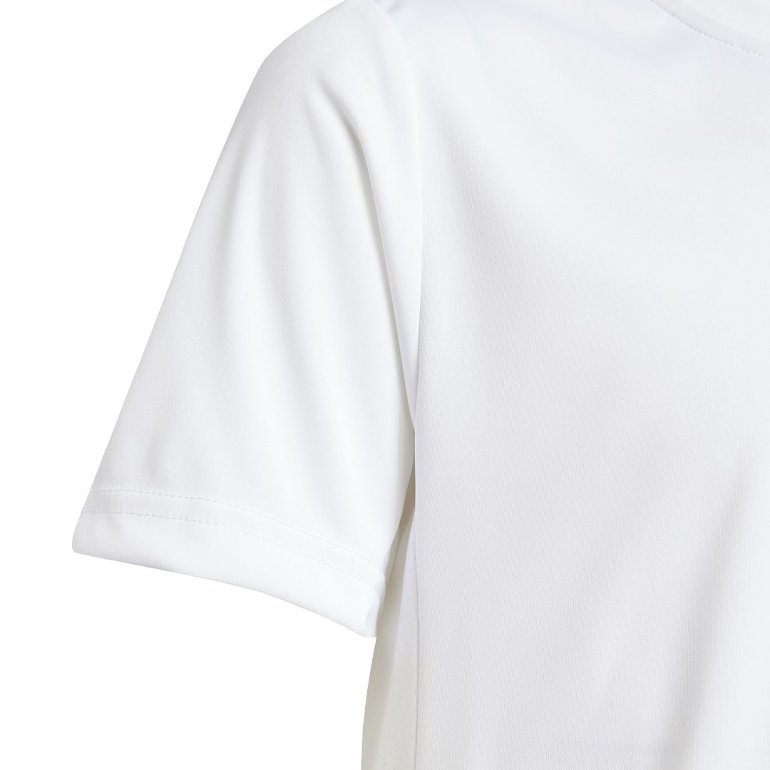 adidas B Club Tee - white