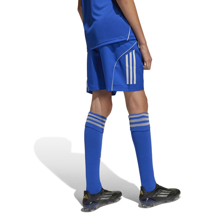adidas Tiro 25 C M Shoy Shorts