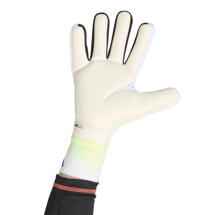 adidas Pred Gl Pro - luclem/black/purrus