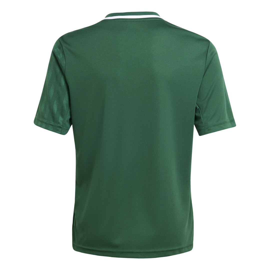 adidas Campeon25 Jsy Y Kinder - drkgrn/white