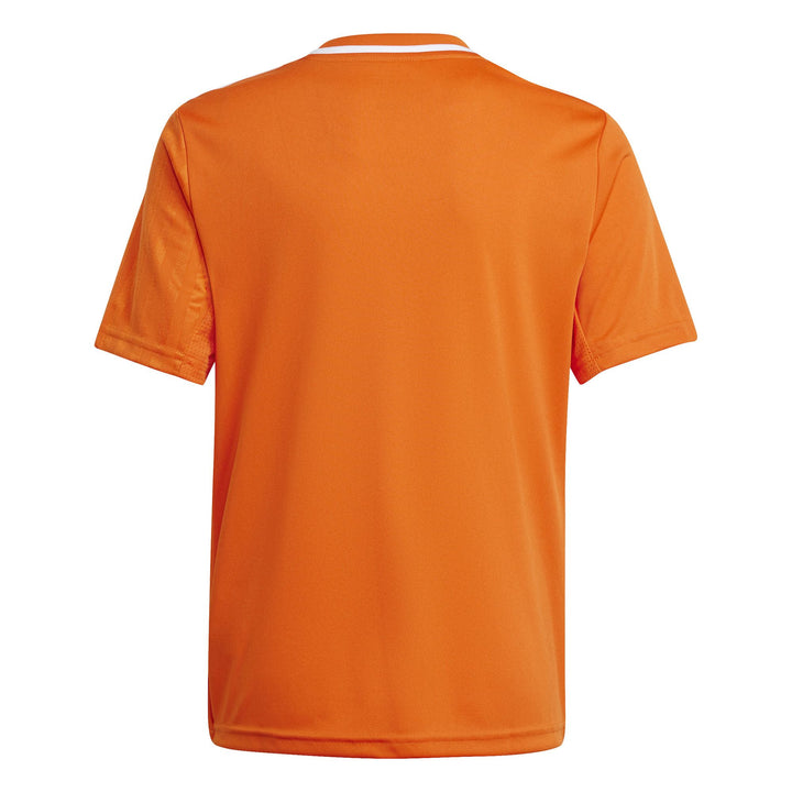 adidas Campeon25 Jsy Y Kinder Fußballtrikot