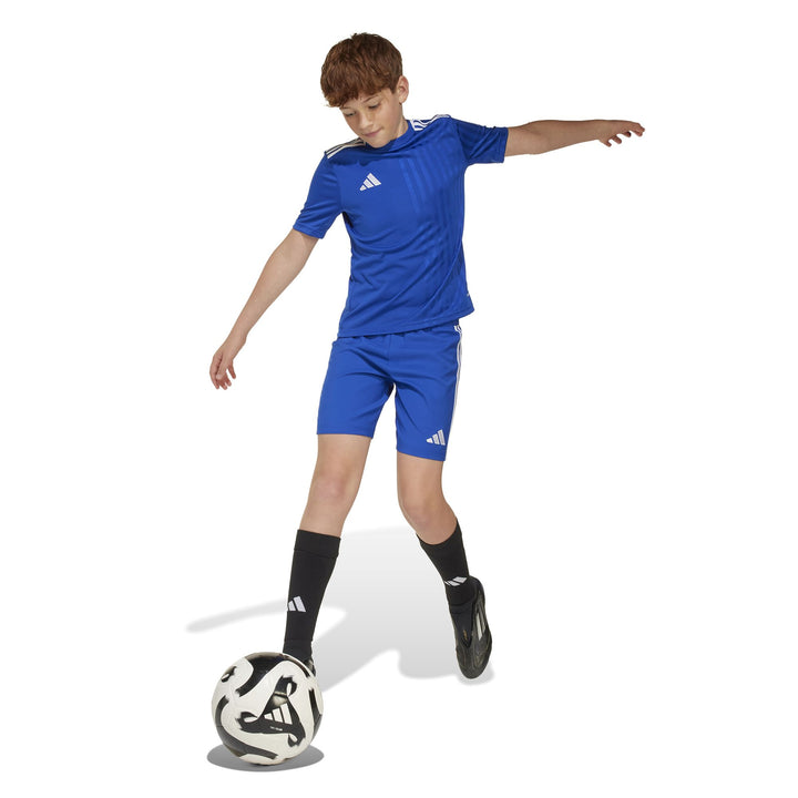 adidas Campeon25 Jsy Y Kinder Fußballtrikot