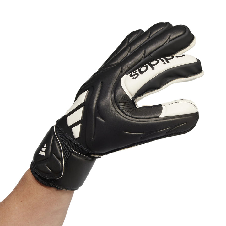 adidas Copa Gl Mtc Fs - black/white