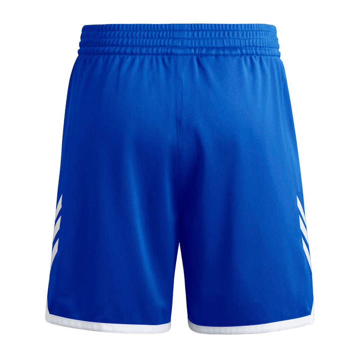 adidas M Evryday Pro S - royblu/white
