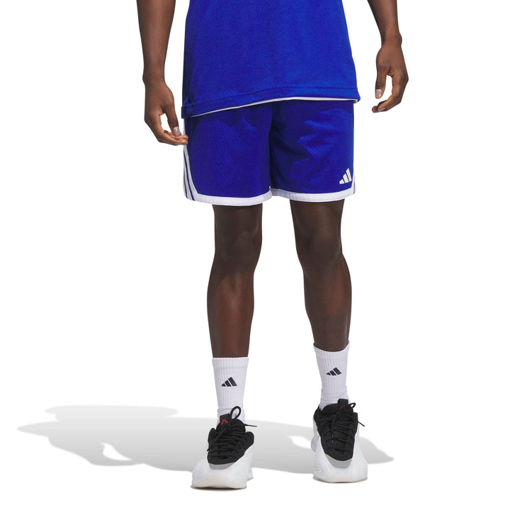 adidas M Evryday Pro S - royblu/white
