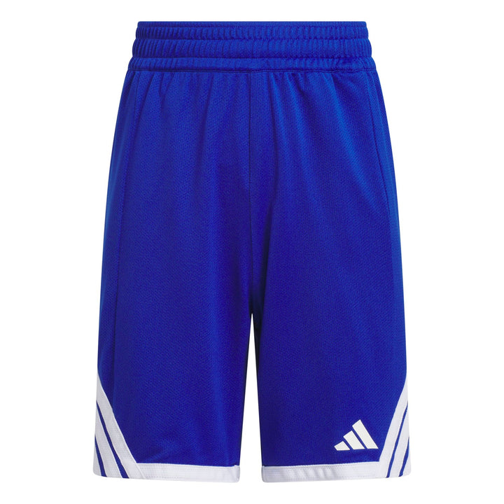 adidas Y Kinder Evryday Pro S - royblu/white