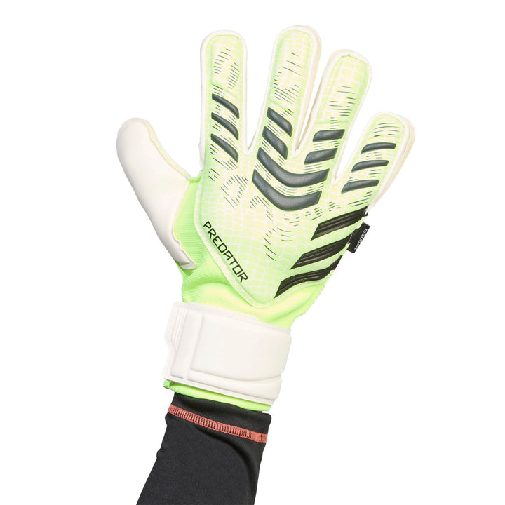 adidas Pred Gl Mtc Fs - luclem/black/purrus