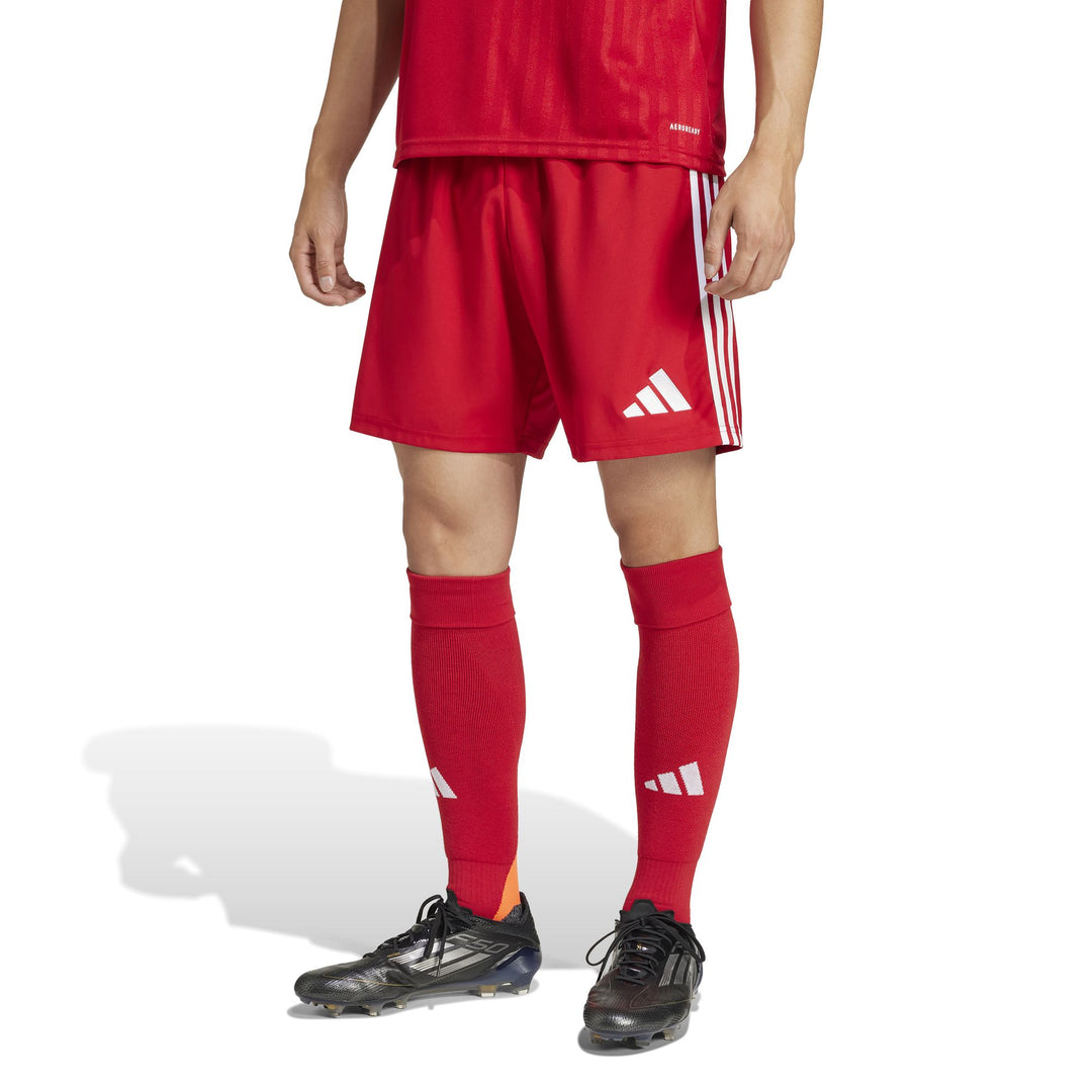 adidas Tastigo25 Sho M - tepore
