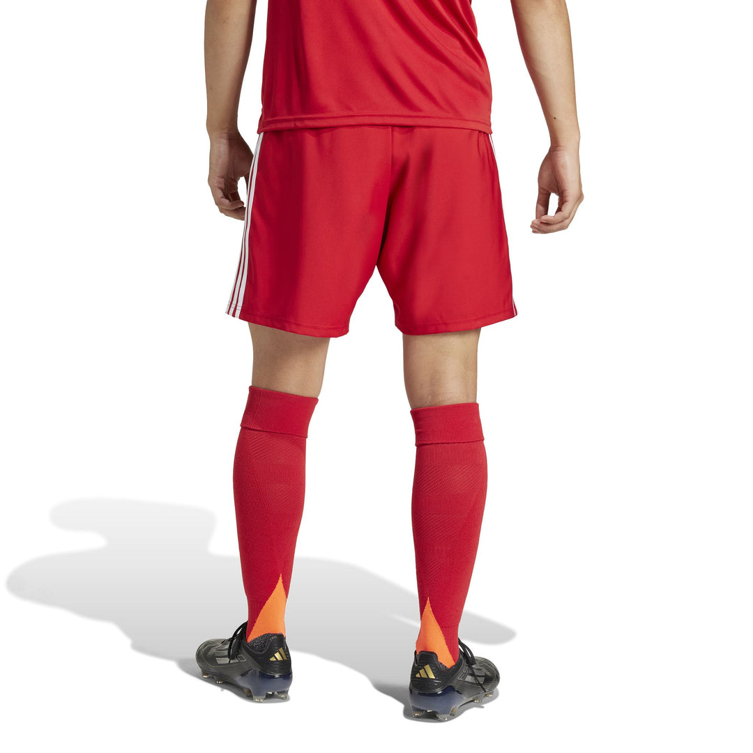 adidas Tastigo25 Sho M - tepore