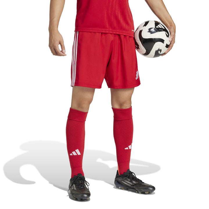adidas Tastigo25 Sho M - tepore