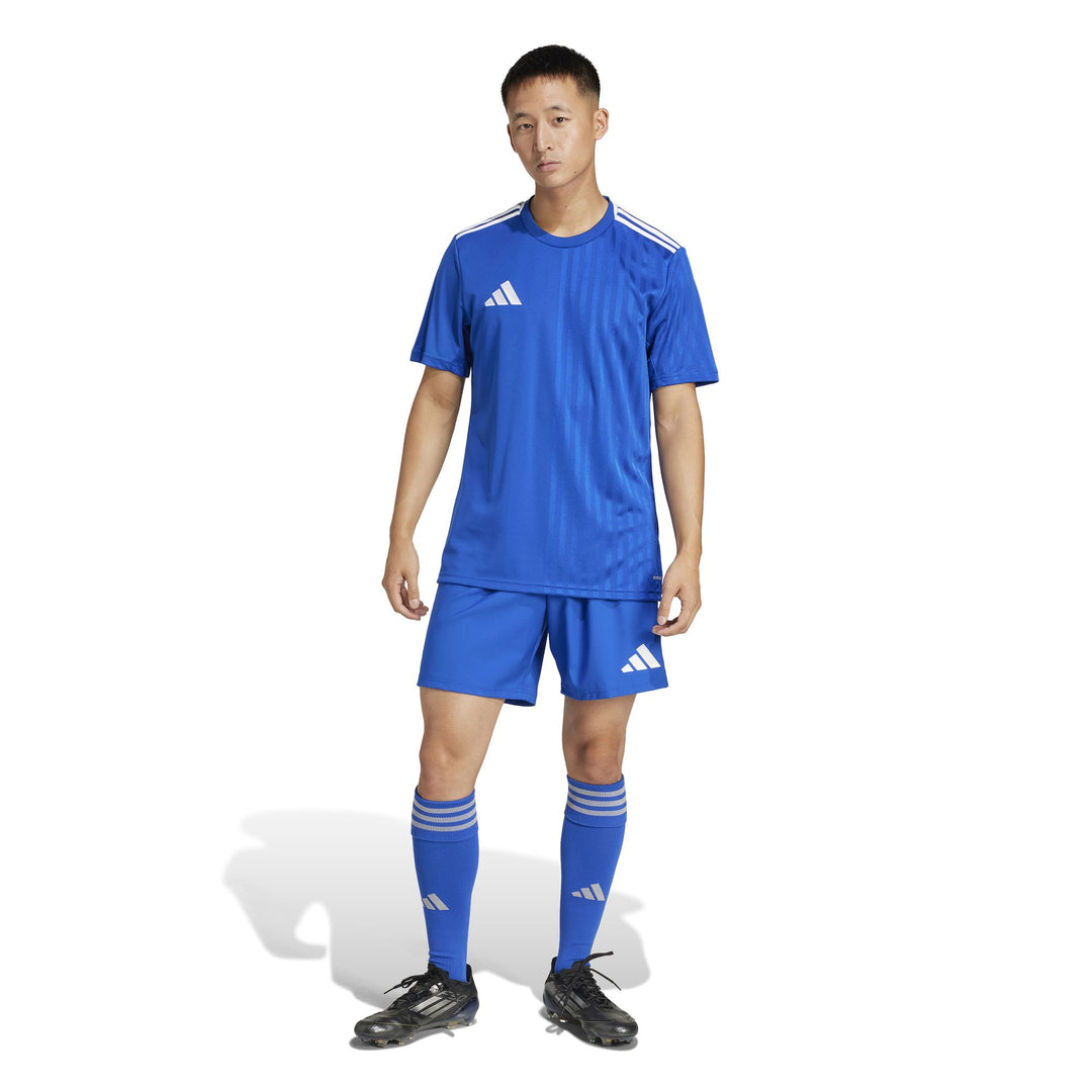 adidas Tastigo25 Sho M - royblu