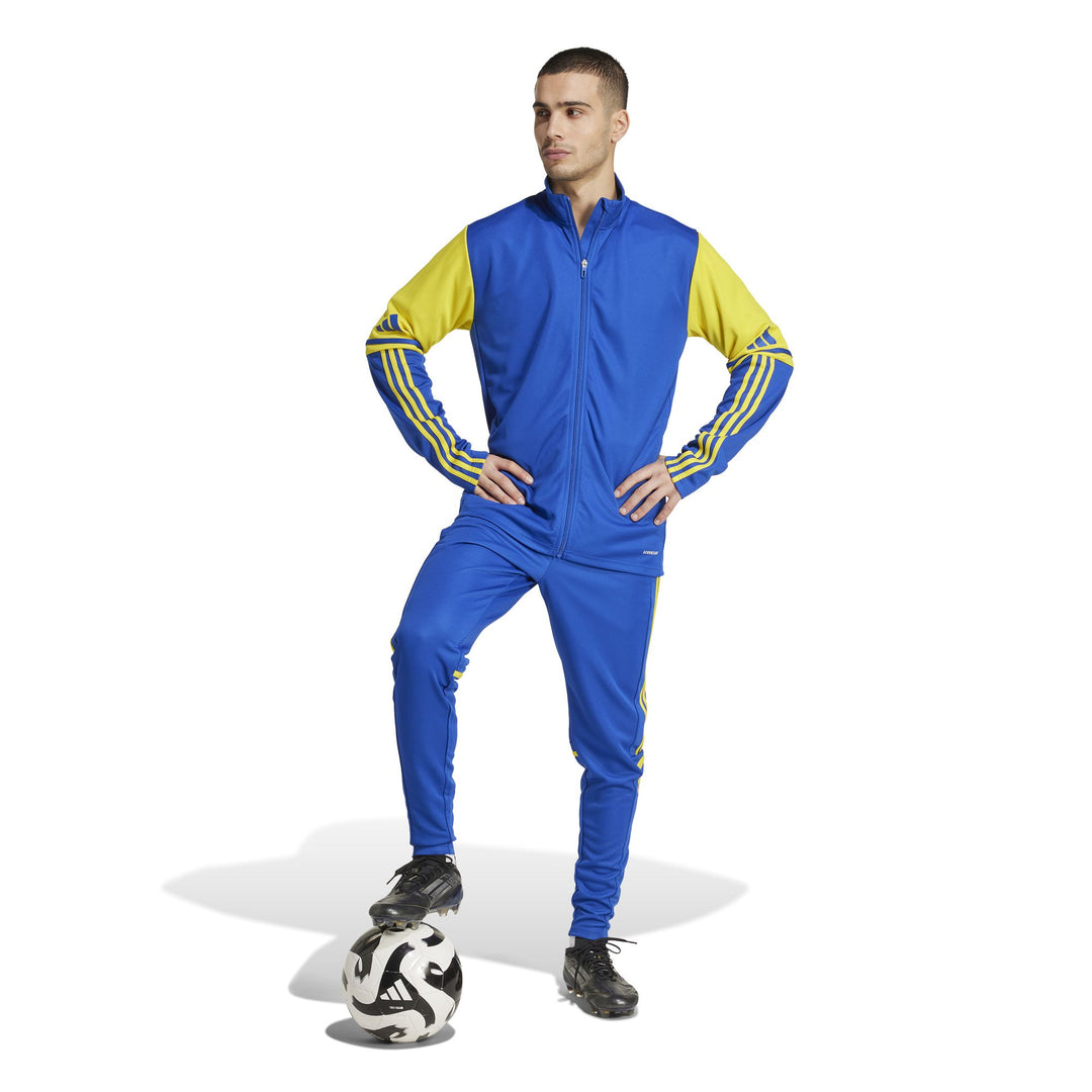 adidas Squadra 25 Tr Jacke - royblu/tmyell