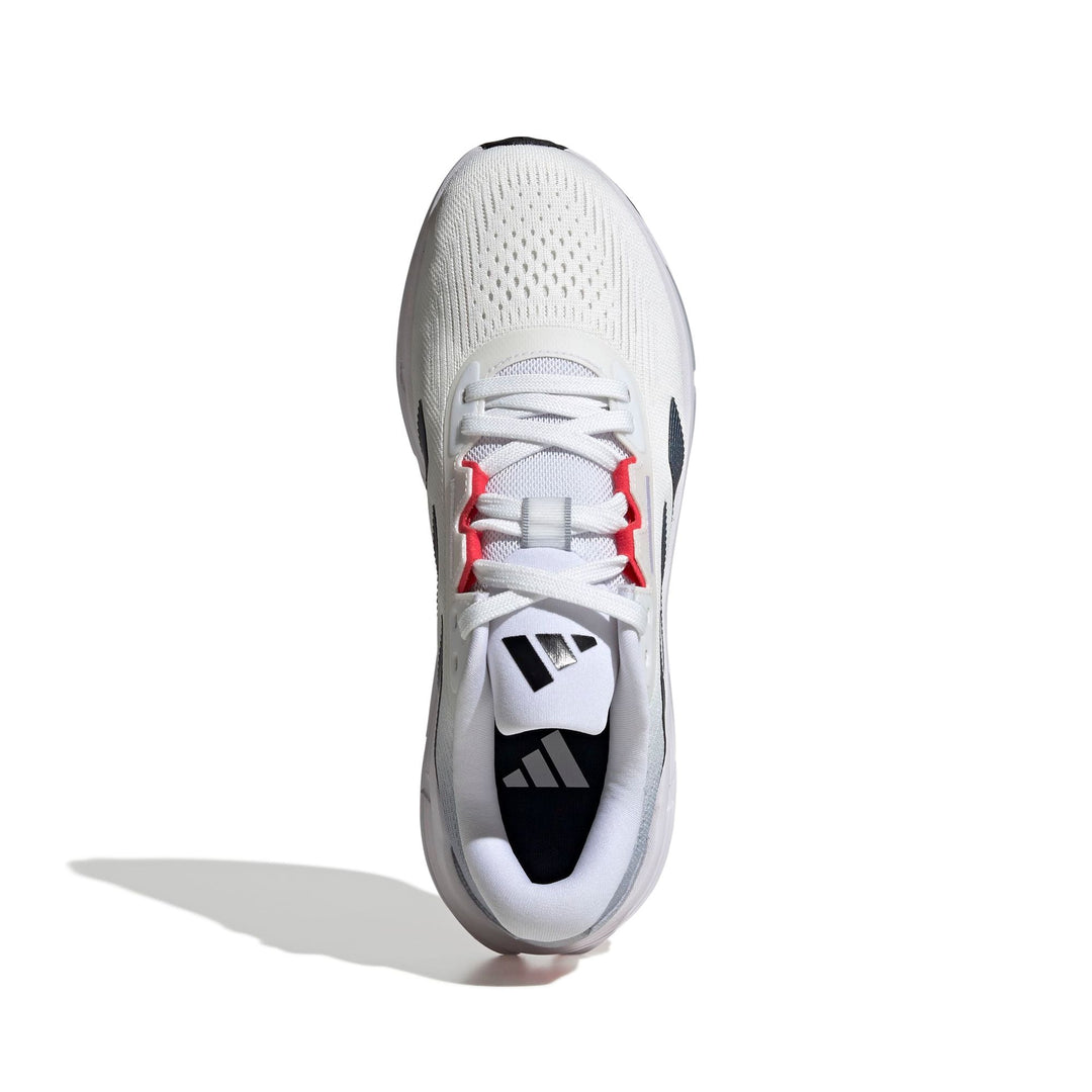 adidas Questar 3 M - ftwwht/cblack/purrub